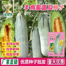 ���l�������ϷN�ӳ�����Ǵ��ֱ�Ƥ������r���׷N�����߲˹Ϲ�