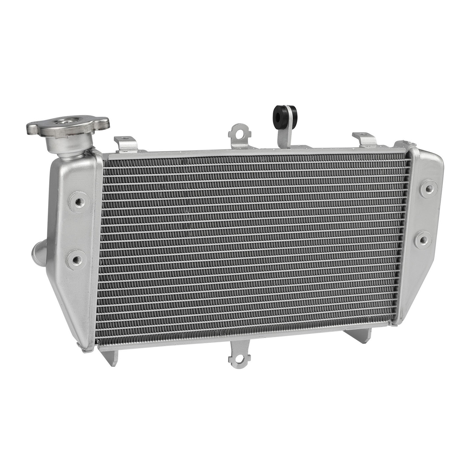 Suitable for Yamaha Mt-03 Mt-25 2016-2025 Water Tank Assembly Water Tank Radiator