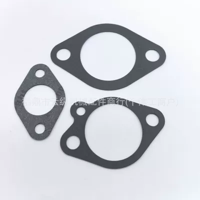 Carburetor Repair Kit Carburetor
