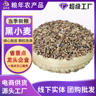 ���|��С������؛��ȴּZĥ�氾��lѿԭ��ɢ�bС���bС�����F؛