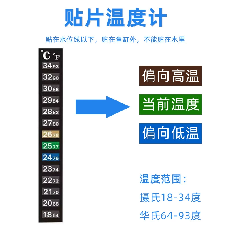 Glass aquarium, thermometer