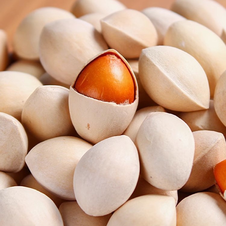 2025年新鲜白果子银杏果生百果仁无漂白带壳白果邳州特产