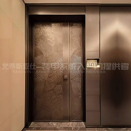 进户门