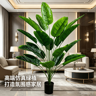 �羳����Gֲ���˽������B�Ž��~�㽶�~���W�쾰�٘�Gֲ�͏d�[��