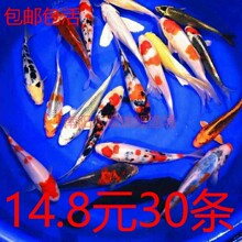 �\���~��С�~���^�p�~���w�ݽ��~�׻���B��ˮ��ˮ�~���Lˮ�~���~