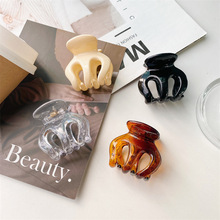 �W��ins���sС̖ץ�A���Rβ�l�A���X�����~�A�W�t2023���^F؛