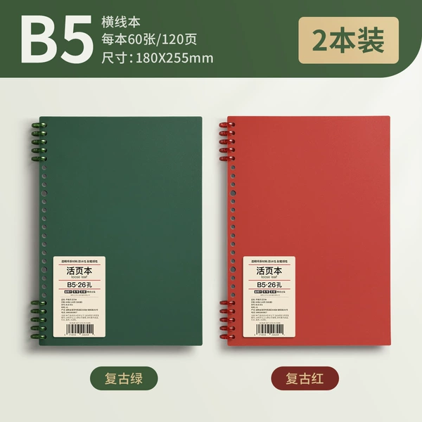 B5•2 books•Vintage green+retro red, 120 pages per book