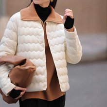 降落伞面料大衣伴侣轻薄长袖羽绒服内搭打底内胆圆领无领短款外套