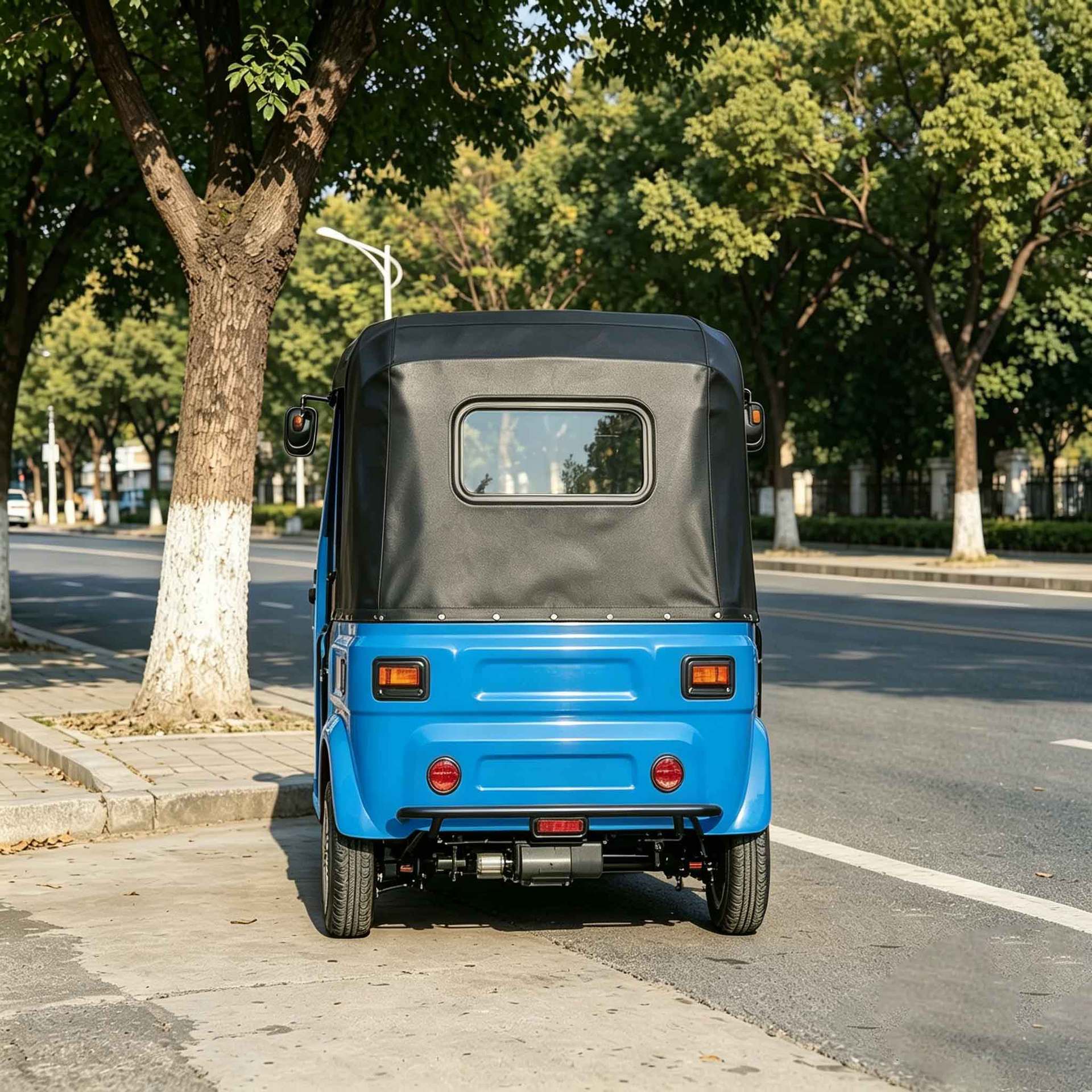 Fuel-Powered Three-Wheeled Blue Durable Model for Export to Africa and Southeast Asia Passenger Vehicle