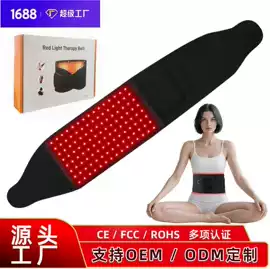 电子美容仪;面罩美容仪;电热护膝护腰