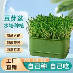 苗ポット、自家製もやし発芽ポット、もやし製造機、もやし専用ポット、大豆・緑豆発芽缶