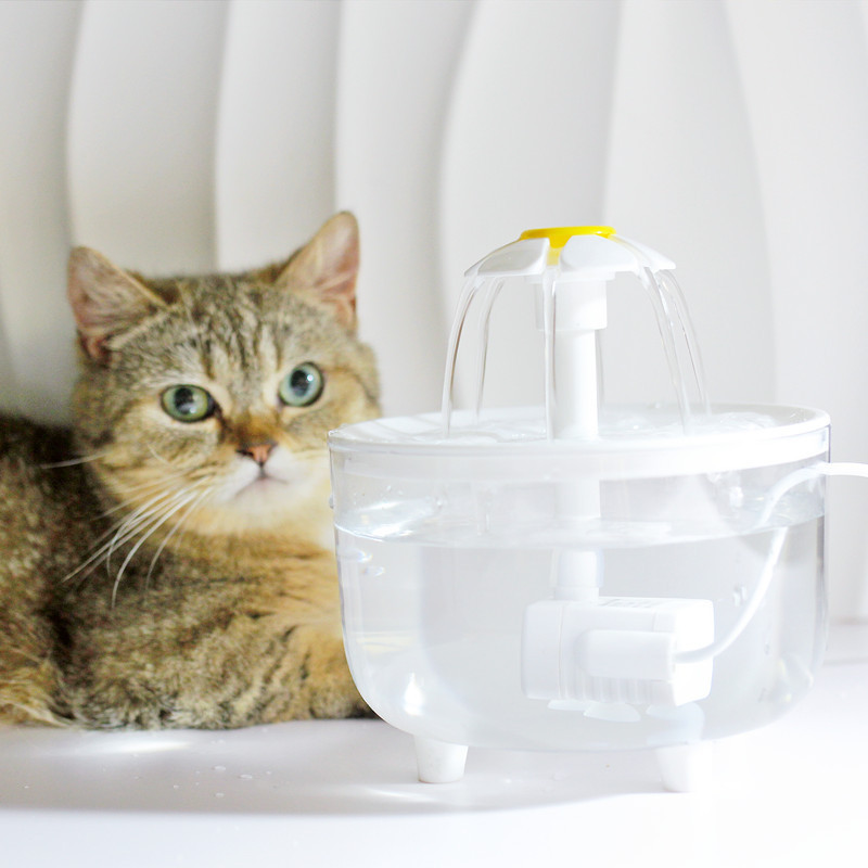 新商品発売ペット浄水器自動循環フィルター猫浄水器スマートペット給水器流動水|undefined
