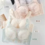 轻薄蕾丝女士抹胸型文胸