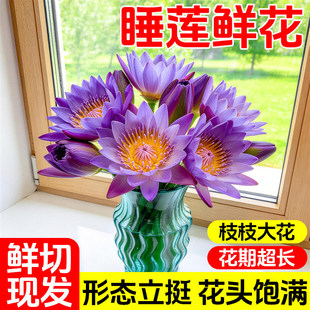 ˯ɏ�r���r�л������ɻ�ɏ���ٺϻ��͏dֲ��廨��ϻ��ܻ���ֱ��