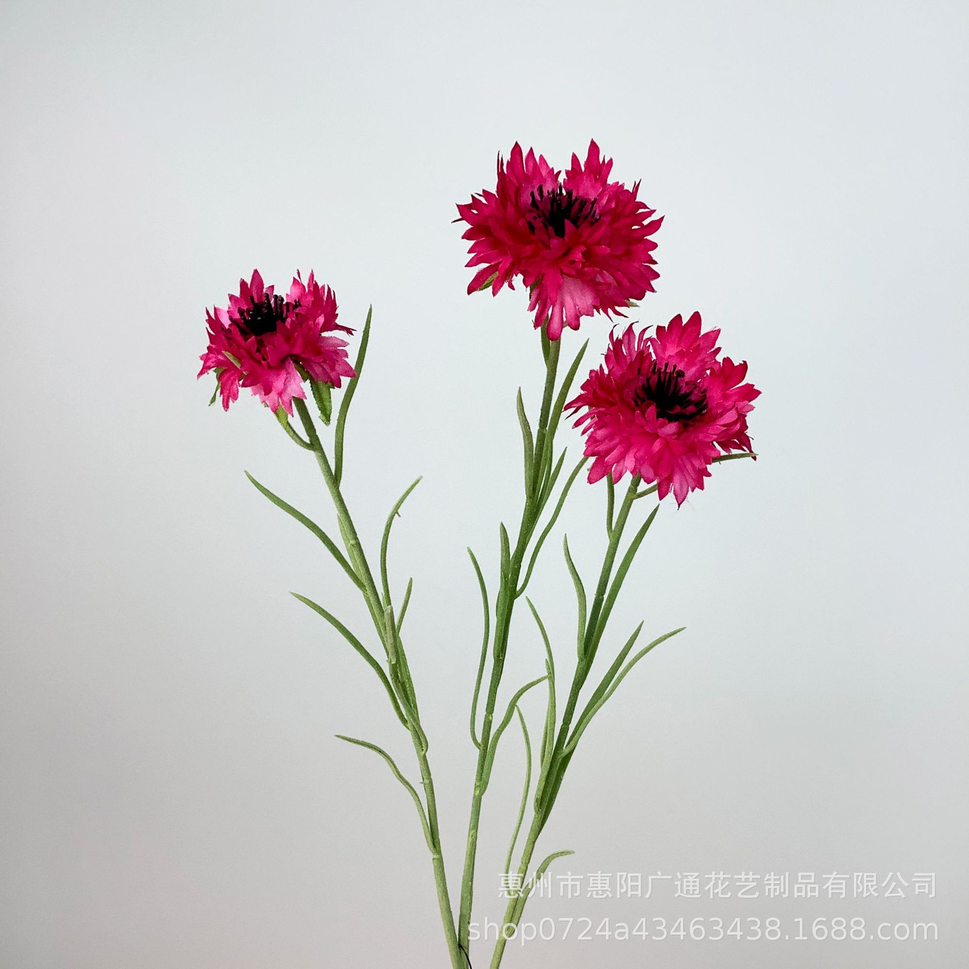 로즈 레드