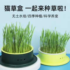 Cat Grass Seed Soilless Growing Kit Hydroponic Box Cat Snack Catnip Grass Wheat Seeds Cat Grass Pot