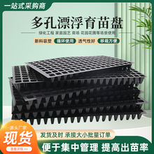 �߲˶���Ӫ��������Ư����ˮ����ֲ������ҩ�����翾��Ư��Ѩ��