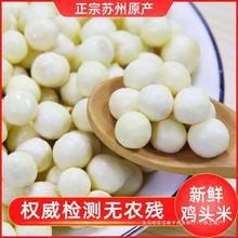 �ó��K�ݴ�̖���ք����\���r�����u�^��2023�͌��u�^���r