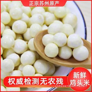 �ó��K�ݴ�̖���ք����\���r�����u�^��2023�͌��u�^���r