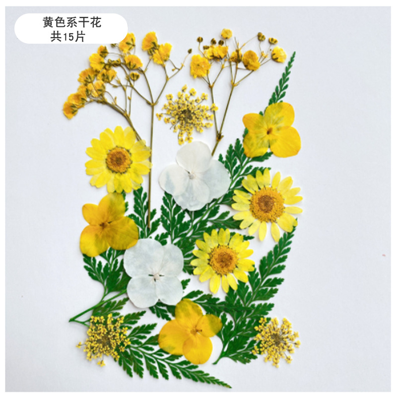 Bebé educación temprana Montessori en casa DIY sensorial botella bolsa de entrenamiento juguetes educativos Montessori Educación Temprana Formación