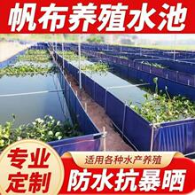 加厚养鱼帆布鱼池养殖帆布池池塘水池防水布蓄水池刀刮布鱼池布