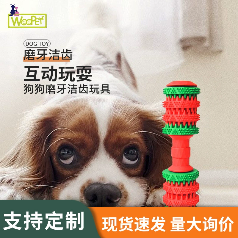 Pet Игрушка собака игрушка натуральный каучук игрушка молярная чистка зубов Укус-устойчивая развивающая игрушка оптом