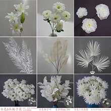 ɫĻY滨Ļcûٻb·Tˇ