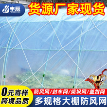 大棚防风网 蔬菜大棚压膜网农用盖垛网码头货物防护网 大孔尼龙网