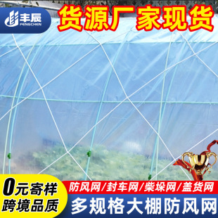 Greenhouse Windproof Net, Vegetable Greenhouse Film Net, Agricultural Cover Net, Dock Cargo Protection Net, Large Hole Nylon Net