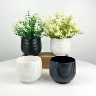 �������l���Wins�L���ϻ����ݼy���s���κ�ɫ��ɫ�߼��л���[��