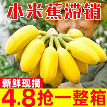 ���ڏV��С�׽��������rˮ�������b��Ȼ��С�㽶�Fժ�F�l���]