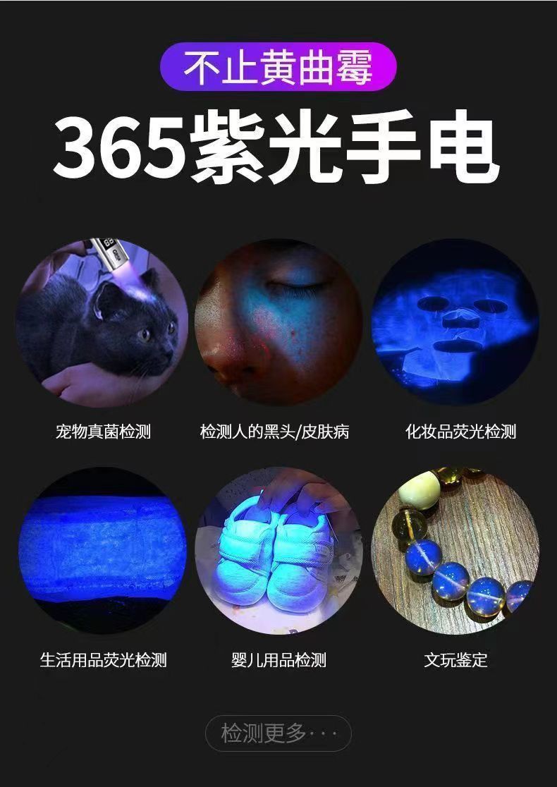 009aed81-977b-4c69-9672-4f78c11b27ad.jpe