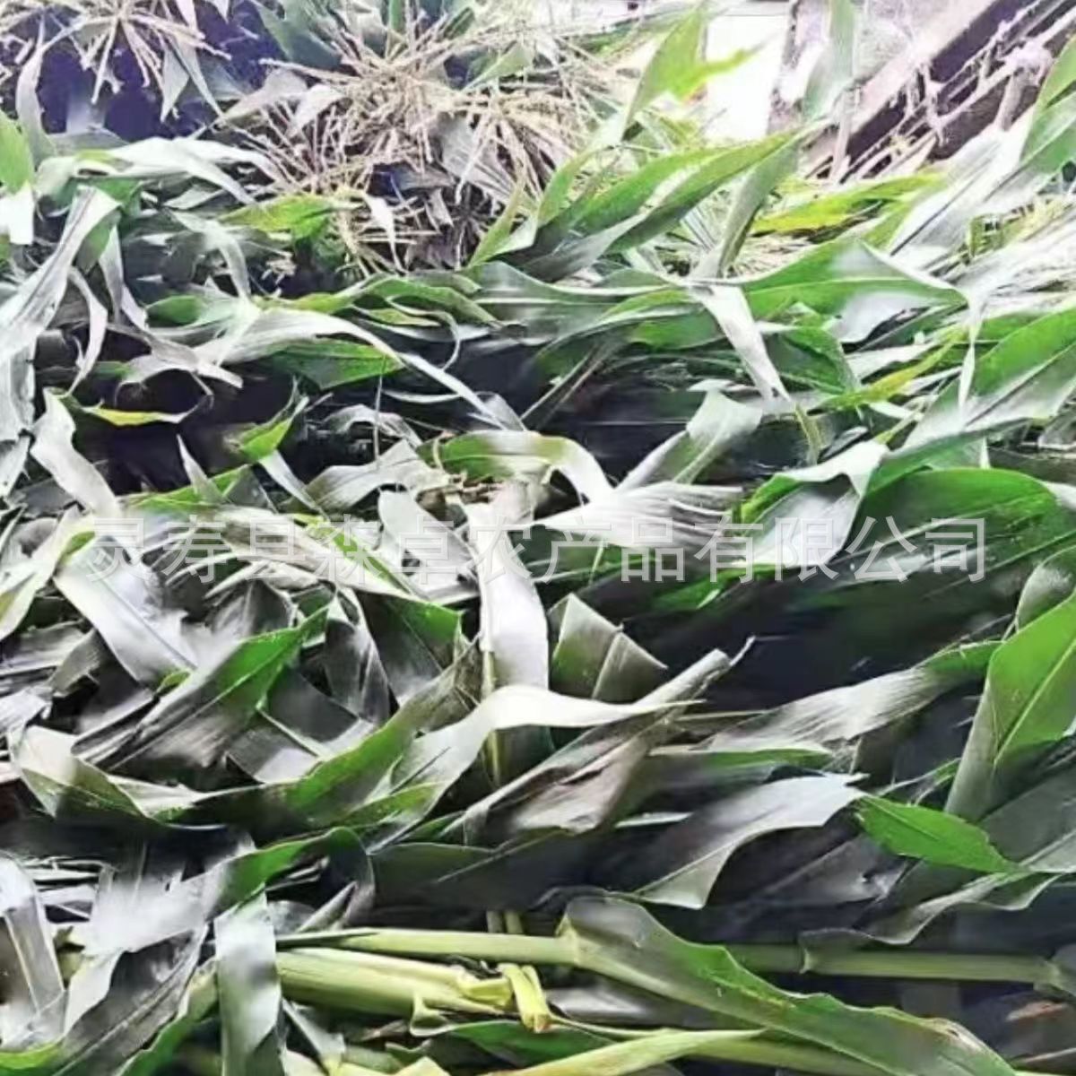 5b0c724d46143ffa50c840787e0abf