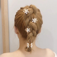 �W�t���l��Ů����l�A߅�AСץ�AŮ픊A�ɐۄ����黨��l����A