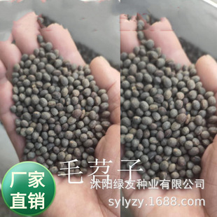���lë���� ����  ���뻱  �Q���ӵȶ���;�o��ֲ�� �o�¾G������