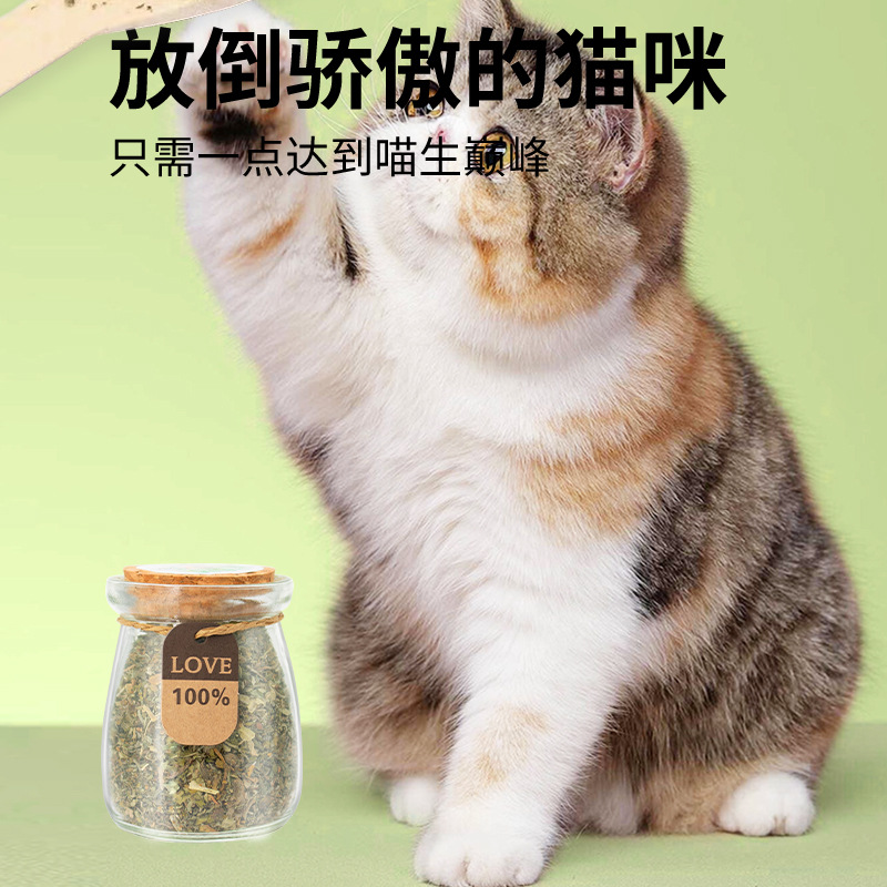 Hoja de polvo de menta gatera Aperitivos para gatos Galletas para gatos embotelladas Bolas desplumadas comestibles Limpiar la boca Cachornia para gatos