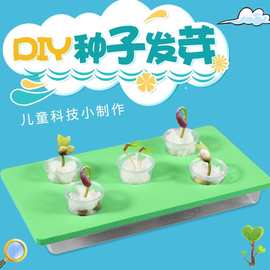 儿童创意科学小制作种子发芽幼儿园小手工科技DIY科普实验材料包