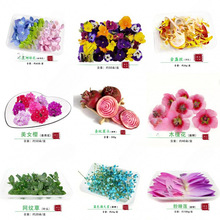 ���r��ɫ���[�P�b������;Ƶ��b��c�Y���˔[�P��߅�⾳�P�