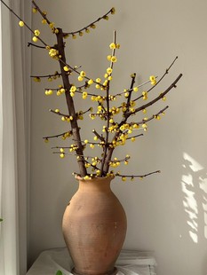 Chimonanthus Fresh-Cut Flowers, Dried Branches, Chimonanthus Hydroponic Chimonanthus Flowers with Buds, Dried Branches, Chimonanthus Branches Bloom When Exposed to Water, Fresh-Cut Flowers