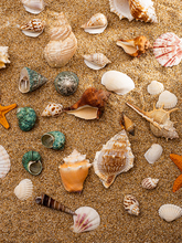 ��Ȼؐ������ɺ���~���b�Ʒ�Ĕz���߹�ˇƷ΢���^���к����ǔ[��