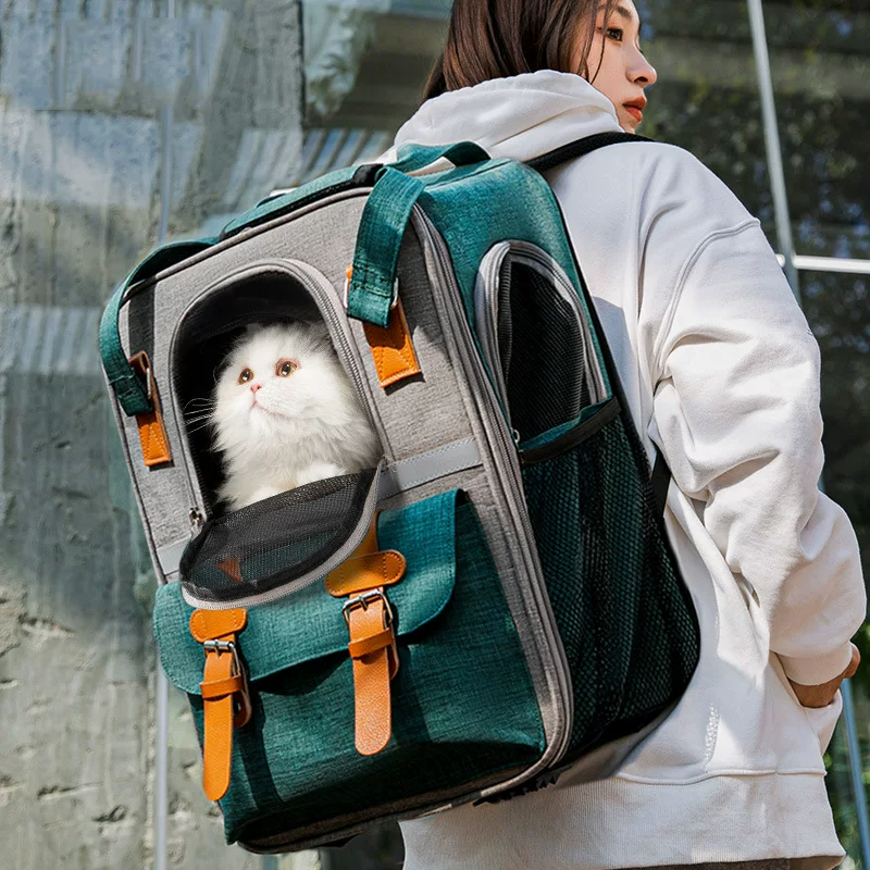 Handheld capacious backpack to go out