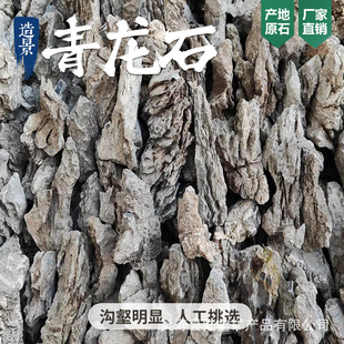 Raw Stone Qinglong Stone Aquarium Tank Landscaping Decoration Pine Bark Stone Rockery Grass Tank Landscaping Stone Ornaments Natural Landscaping