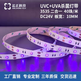 低压24v紫外40珠/米UVC+UVA灯带 医疗器械箱包杀菌消毒ledl软灯条