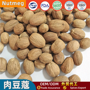 �V�������{����ޢ�����������lɢ�b���x�M���u�ϻ��