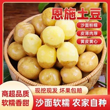 ����F�ڶ�ʩ��ɽ����С����8.5�����r�S�����������߲��R���