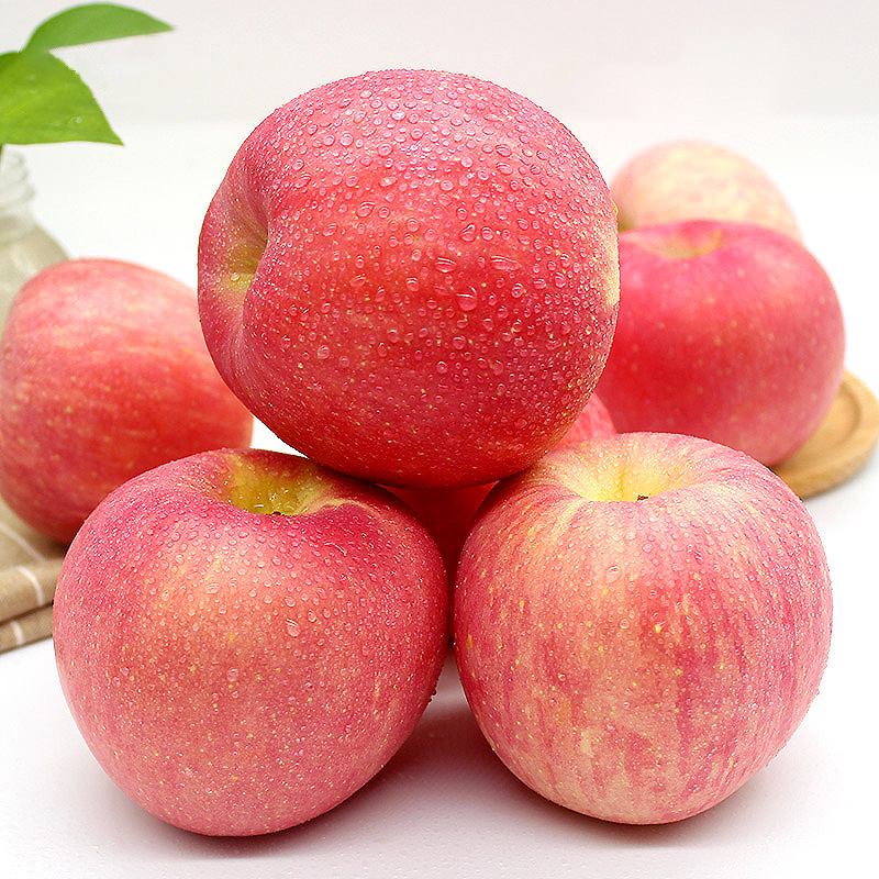 Shandong Yantai Red Fuji Apple Now Available Apple Red Fuji Dropshipping Shandong Yantai Red Fuji Apple Now Available Apple Red Fuji Dropshipping