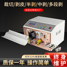 定制YX-200型号电线数据线切线机  永信牌2+T电脑剥皮扭线裁线机