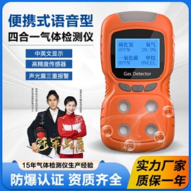 其他气体分析;气体检测仪;气体检测仪