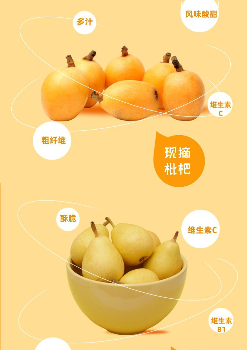 Loquat Autumn Pear Paste Pi Pa Qiu Li Gao 210g Barrel with 21 Stick Packs Ready to Drink Herbal Syrup key features