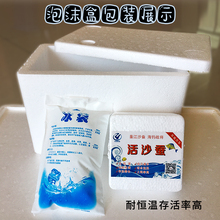 福建活沙蚕红沙蚕红青虫海蜈蚣海蚯蚓活饵海钓野钓鱼饵诱饵发顺丰